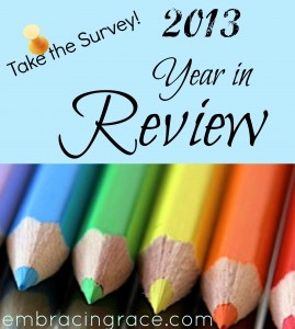 2013review